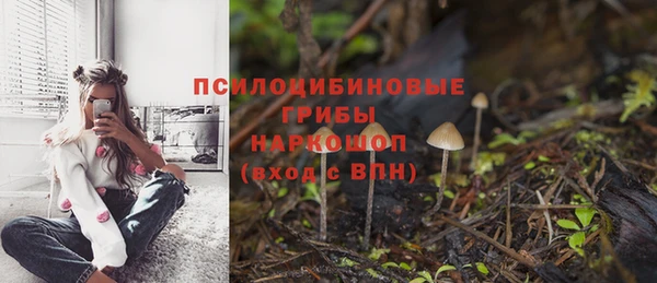амфетамин Белокуриха