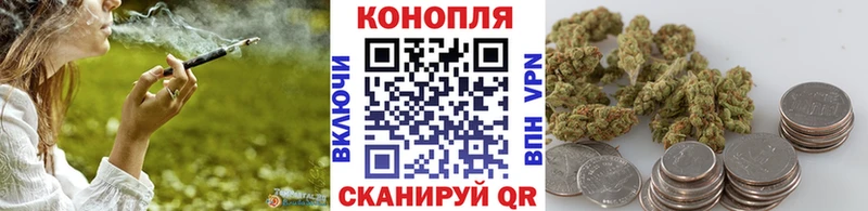 что такое   Кизляр  Конопля тримм 